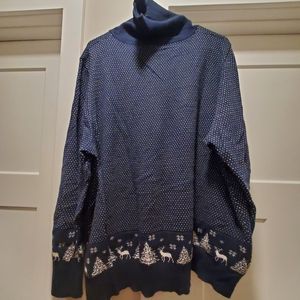 Super Warm Turtleneck Sweater